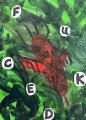 F * c k e d : Lucius Pax : 2024 10 : acrylic and paper on paper : 75 x 105 cm