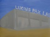 Lucius Pax : Small Painting 2016 8 : Artificial Life 16 : acrylic on paper : 70 x 54,7 cm : title : Lucius Pax Laboratories Living a better future